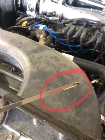 The oil level is visible between the high and low level notches on the dipstick.